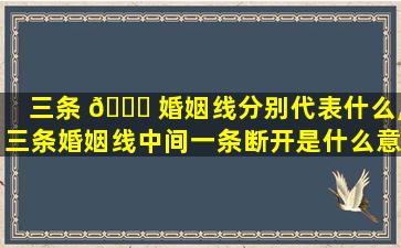 三条 🐟 婚姻线分别代表什么,三条婚姻线中间一条断开是什么意思
